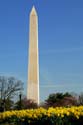 2005-04-05_WashMonument_0009