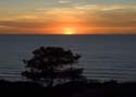 2006-01-16_TorreyPines_065